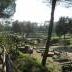 anfiteatro-e-rovine-romane-6.jpg