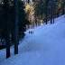 img_20140309_111044-copia.jpg