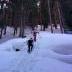 img_20140309_102347-copia.jpg