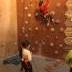 img_4509.jpeg