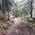 img_7171.JPEG
