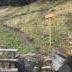 img_7172.JPEG