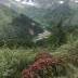 img_7916.JPEG