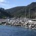 img_0071.JPEG